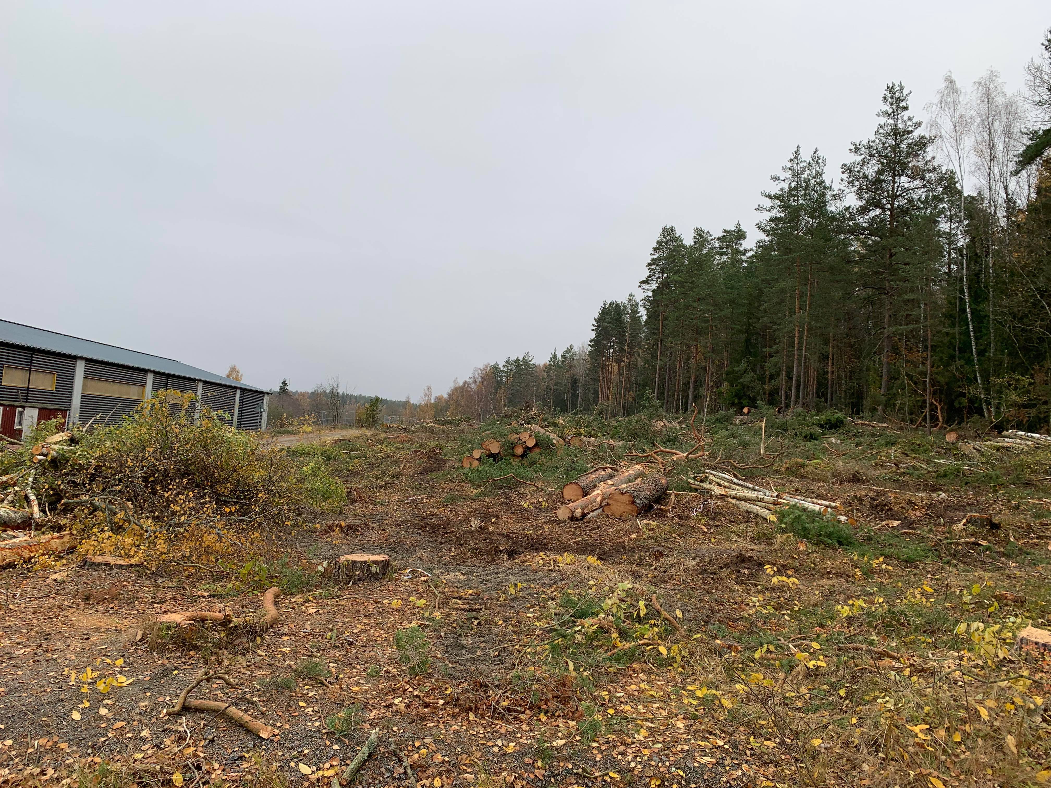 Avverkad skog vid Fallängsvägen.