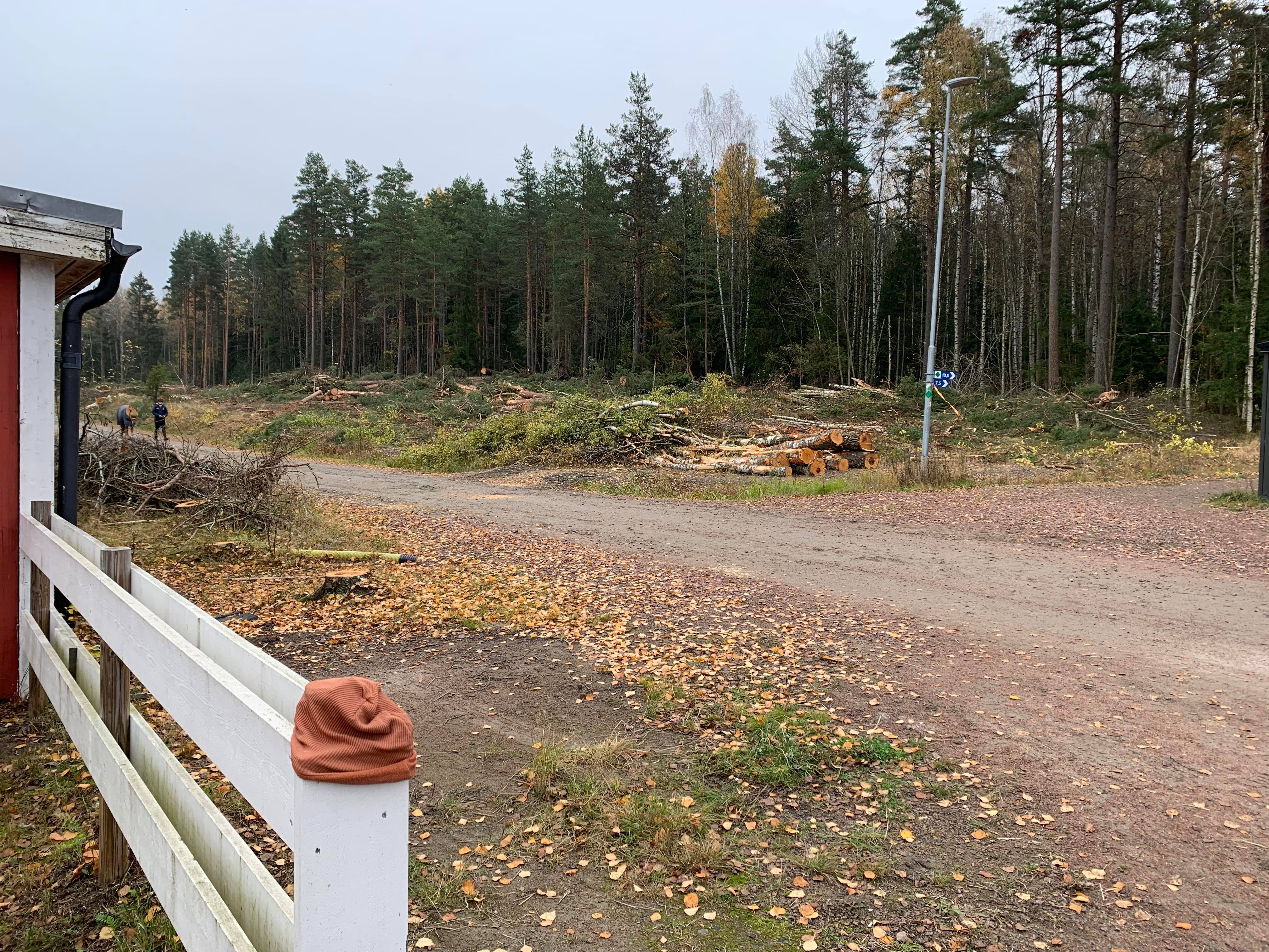 Avverkad skog bakom uteboxarna vid Fallängsvägen.